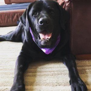 Meet your Posher, Avery